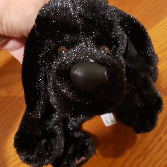 GANZ Webkinz Black Lab - Picture 6 of 9